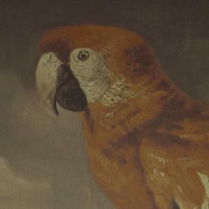 黄瓜视频的入口
